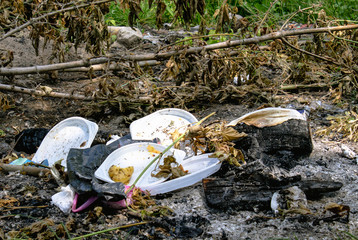 Plastic dishes and garbage thrown into the woods. Environmental pollution.