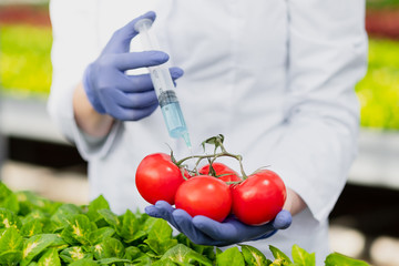 A scientist biologist in a lab coat and protective gloves introduces a blue liquid into the...