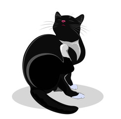 The cat is scratching its neck. Vector silhouette on white background.