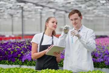 Two scientists agronomist breeder, a man and a woman, take samples in the greenhouse.