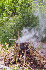 Obraz premium A fire is burned on the ground, and thick smoke rises to the top.
