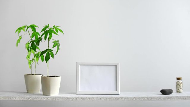 White shelf against wall with potted marijuana plant