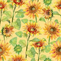 Sunflower seamless pattern watercolor. Summer flower bright colorful pattern.