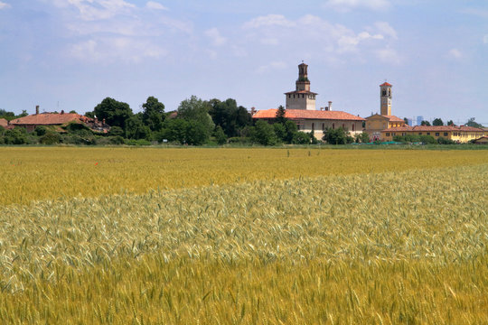 campo di grano e frumento con castello e chiesa di cusago in italia, wheat field with castle and church in cusago village in Italy