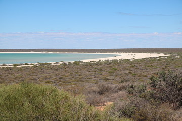 Shark Bay region in Western Australia