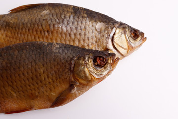 fish isolated