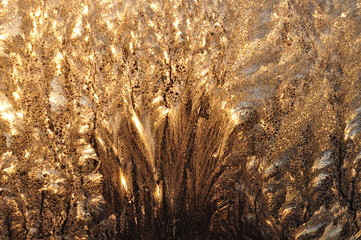 Fancy frosty pattern on the glass, illuminated by the morning sun, depicting a picture. Golden autumn.