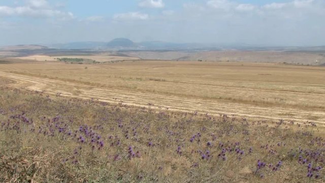 Mount tabor landscape, Galilee Israel