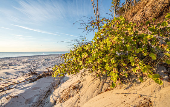 ostsee