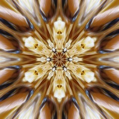Graphic Image with kaleidoscope style design abstract
