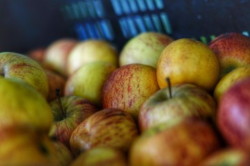apples in basket