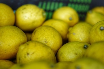 Lemons in market