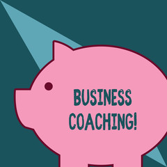 Word writing text Business Coaching. Business photo showcasing Helping employees become more active Consulting an expert Fat huge pink pig plump like piggy bank with sharp ear and small round eye