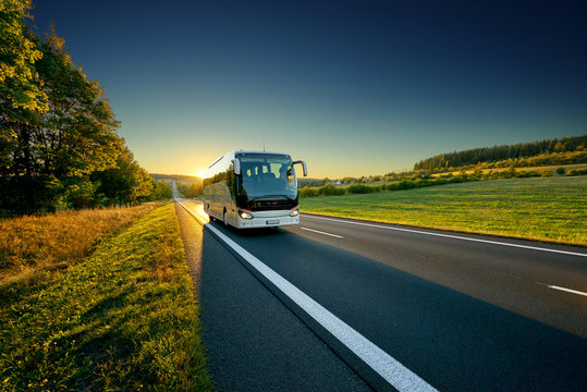 White bus traveling on the asphalt road around line of trees in rural landscape at sunset