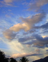Cielo