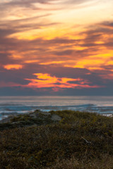 Fototapeta premium sunset in the sea