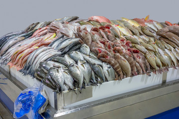 seafood