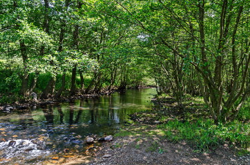 Мagnetic landscape of summer nature, green deciduous forest and river Iskar  in the Lozen mountain, Bulgaria, Europe
