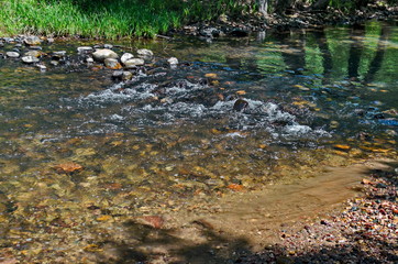 Мagnetic landscape of summer nature, green deciduous forest and river Iskar with ford in the Lozen mountain, Bulgaria, Europe 