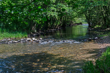 Мagnetic landscape of summer nature, green deciduous forest and river Iskar with small  waterfall in the Lozen mountain, Bulgaria, Europe  