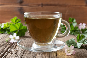 A cup of mallow tea with fresh dwarf mallow plant