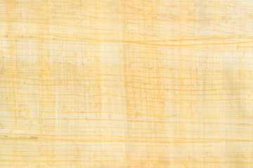 Real Egypt papyrus paper background and texture number 26. Close up macro.