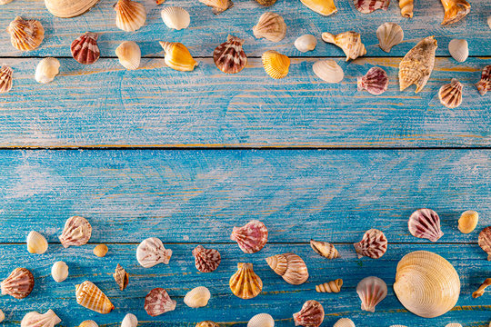 Summer time concept with sea shells on a blue wooden background and sand