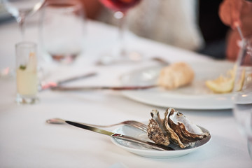Oyster leftovers on plate in a restaurant