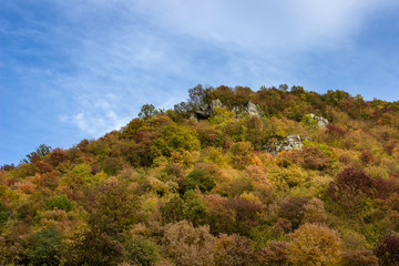 Obraz premium Amazing vivid colors of autumn forest on the mountain with blue sky above
