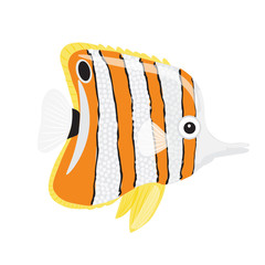 Butterfly fish isolated on white background. Bright beautiful tropical fish. Cartoon. Aquarium fish. - 271846117