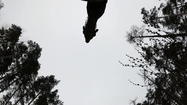 Dog Doberman fly bottom view Full HD