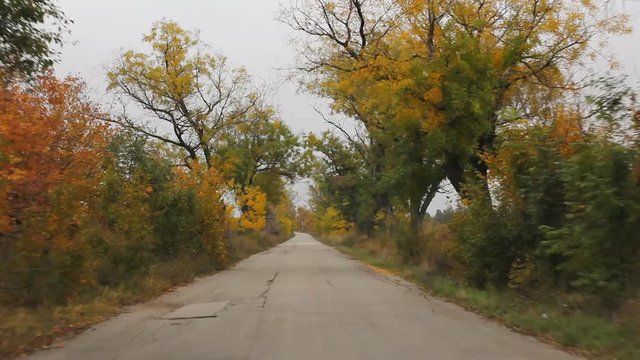 Front view car drive on country road during autumn