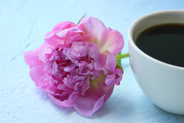 Beautiful pink peonies and a Cup of coffee on a light background. Copy space.