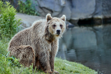 Zoomwelt Gelsenkirchen