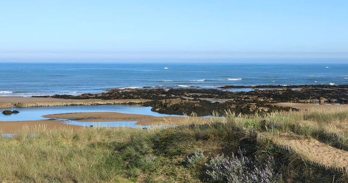 Plage de la Paracou &agrave; mar&eacute;e basse (Les Sables d'Olonne, Vend&eacute;e)