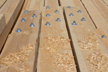 Sawdust after woodworking.