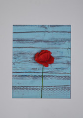 poppies on vintage background