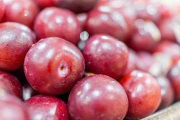 Macro closeup of display of red shiny plums