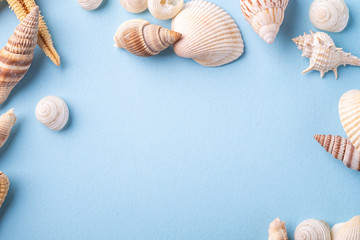 Summer texture copy space starfish seashell top view blue background
