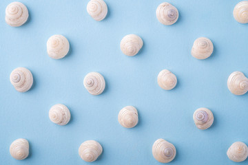 Summer texture pattern copy space seashell top view blue background
