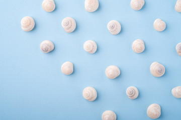 Summer texture pattern copy space seashell top view blue background