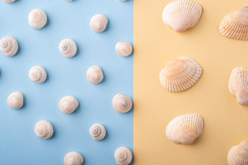 Summer texture pattern copy space seashell top view blue and yellow background