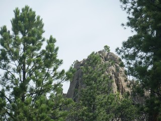 Tall steep rock formations add dramatic views along the Needles Highway at Custer State Park, South Dakota.