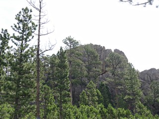 Beautiful cliffs and rock formations along the Needles highway, Custer State Park, South Dakota.