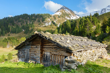 Fototapeta na wymiar Almhütte aus Holz mit Schindeldach und Berggipfel im Hintergrund