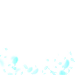 Turquoise flower petals falling down. Magnetic rom