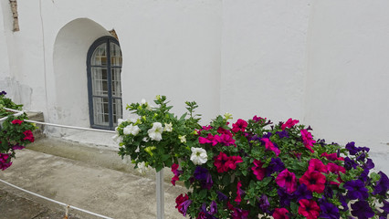Flowerpot with flowers at the monastery wall in Kiev-Pechersk Lavra