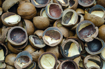 the shell of the macadamia nut, close-up, background, Wallpaper