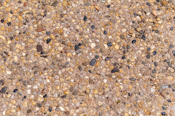 Gravel Sidewalk #3