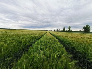 spring germany wind clouds farm